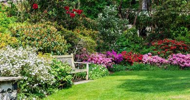 Portishead in Bloom Open Gardens