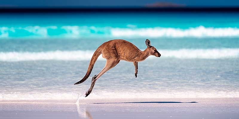 Avon Wildlife Trust on the West Coast of Australia